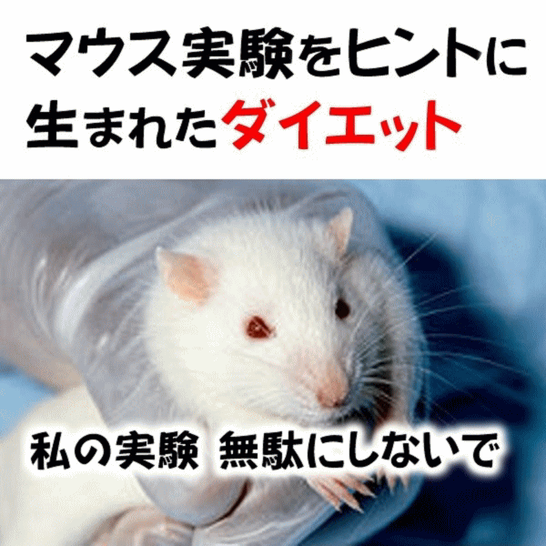 マウスの実験褐色脂肪細胞を寒冷刺激するをヒントに生まれたダイエットのアニメ